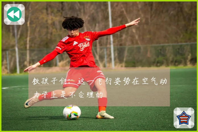 教孩子们：这一飞行姿势在空气动力学上是不合理的