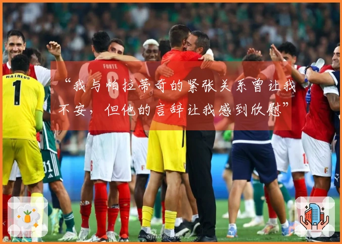 “我与帕拉蒂奇的紧张关系曾让我不安，但他的言辞让我感到欣慰”