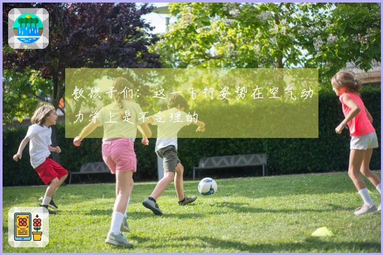 教孩子们：这一飞行姿势在空气动力学上是不合理的