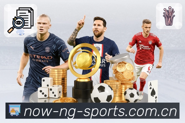 NG体育桌面端观赛